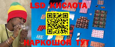 мяу мяу мука Краснознаменск