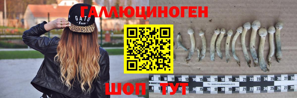 Галлюциногенные грибы мухоморы Кольчугино
